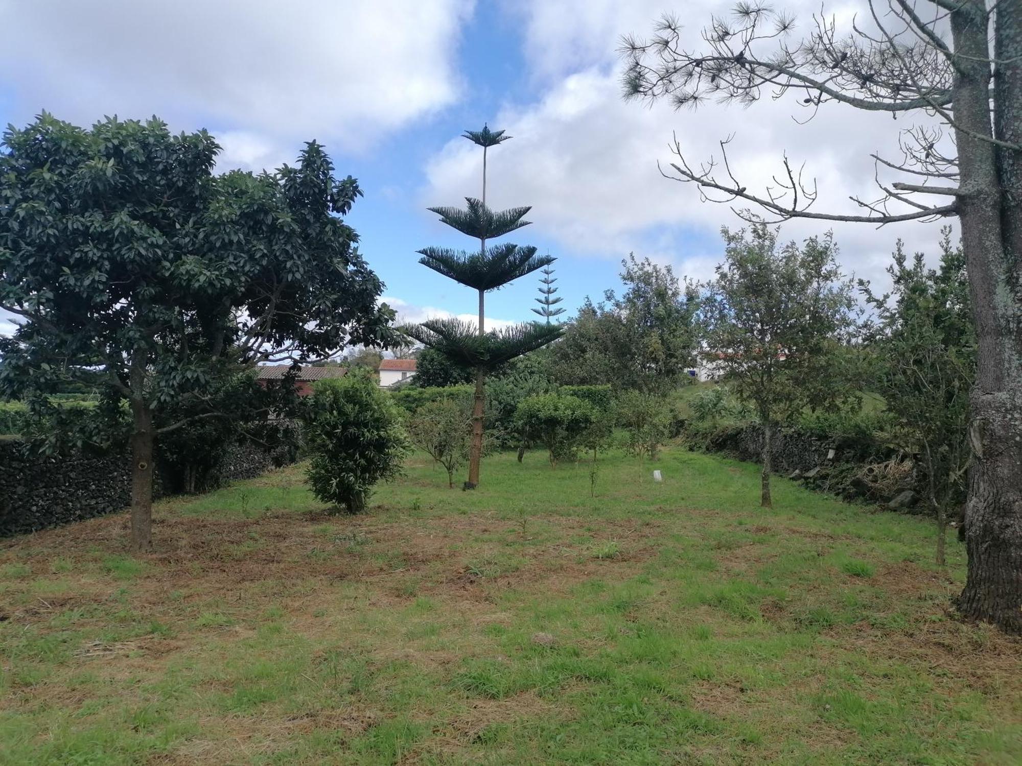 Espaco Roteiro De Mimos Sao Vicente Ferreira Bagian luar foto